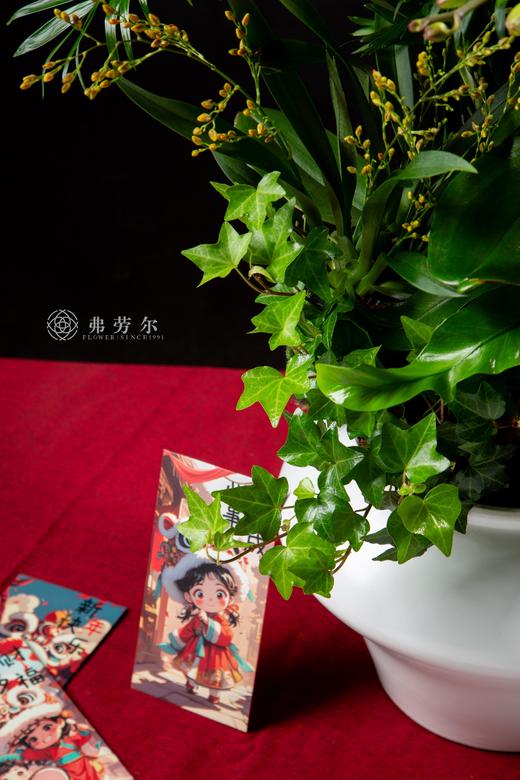 蛇拿九稳 商品图2