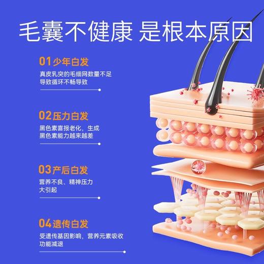 云贝丁希 黑枸杞黑豆桑葚原料甄选科学配比 三龙石正品 商品图2