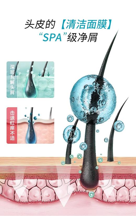 域发 头皮去屑净透凝露75g-RB 商品图2