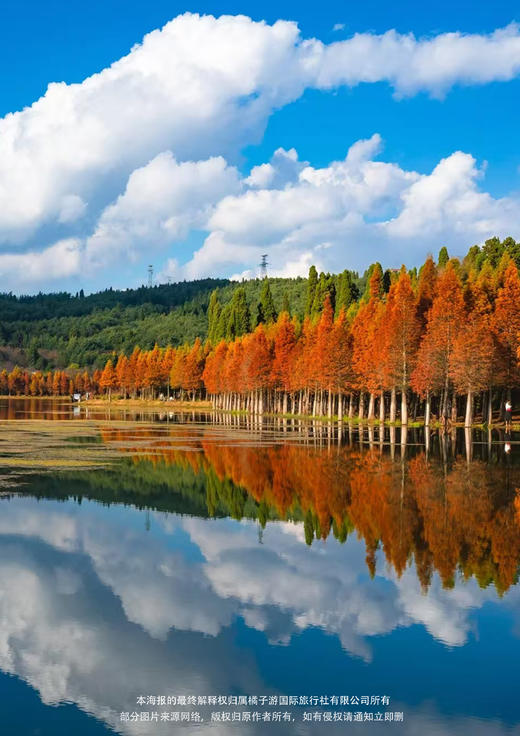 【花样旅途】 昆明大理丽江纯玩6日游 商品图2