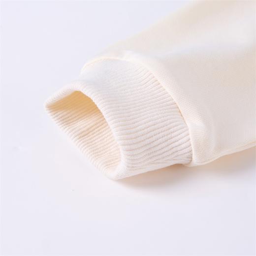 贝贝怡男童春秋套头卫衣ZB1ES027 商品图8