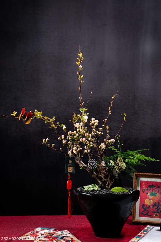 娇艳欲滴 商品图0