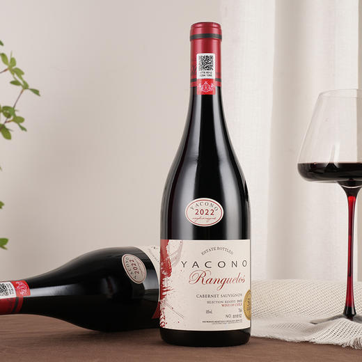 限量珍藏！50年限定！【雅科诺干红双支水钻礼盒皮盒】一口穿越半个世纪的经典醇香！正宗原瓶进口，放心品鉴 商品图1