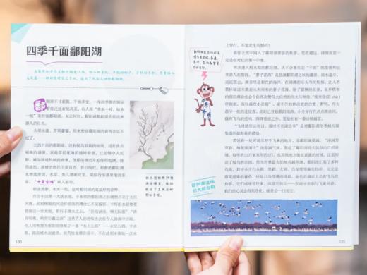 《少年游学小全书》（礼盒装全15册）34座热门城市，逛遍100+博物馆，8000+知识点收入囊中。 商品图5