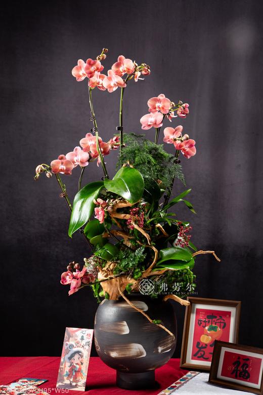 蛇化龙飞 商品图0