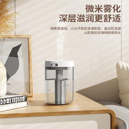 扬子加湿器(双喷头)_H8 商品图2