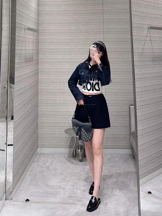 迪奥皮面拼接帆布老花马鞍包（HH） 商品图2