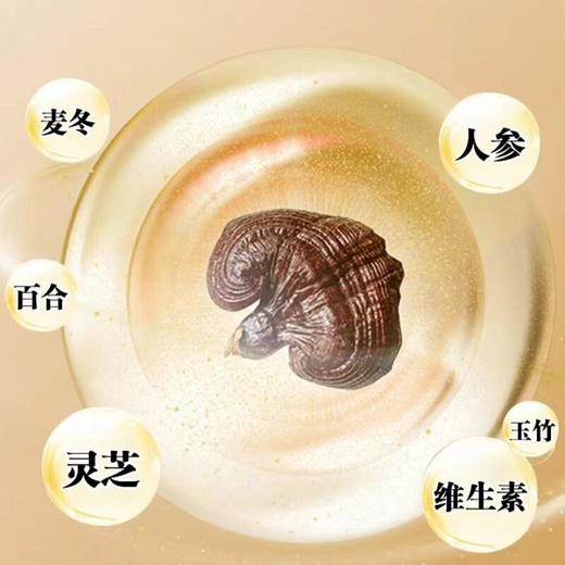 【拍一发二】麦冬灵芝片 甄选原料维生素C麦冬百合成人浓缩食用60片 商品图2