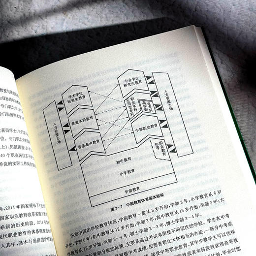 职业教育国家制度与国家政策比较研究 修订版 办学模式 商品图9