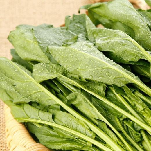 MM 山姆 菠菜苗 400g 商品图4