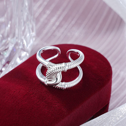子佩集S925银【相约】戒指纯银【JZ-1573】原创2缠绕2501 商品图0