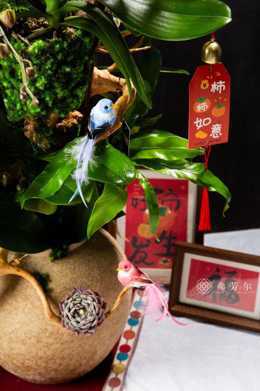 春风得意 商品图2