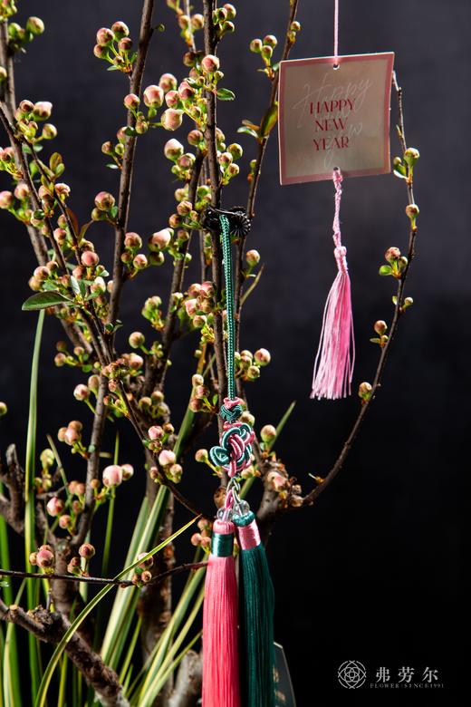 25年 年宵花 组合植物--彩玉海棠 商品图1