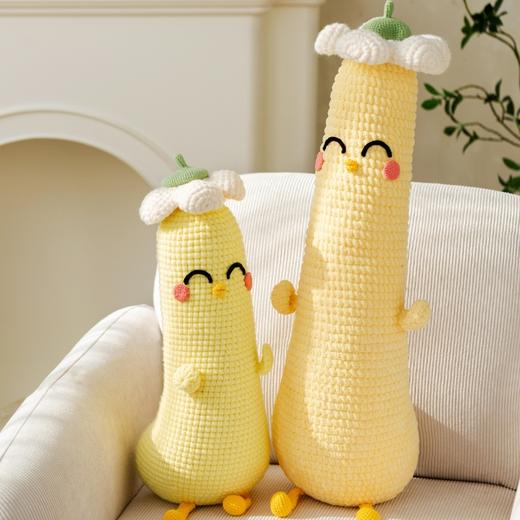 苏苏姐家逸趣小鸡抱枕手工diy礼物钩针编织抱枕毛线团自制材料包 商品图2
