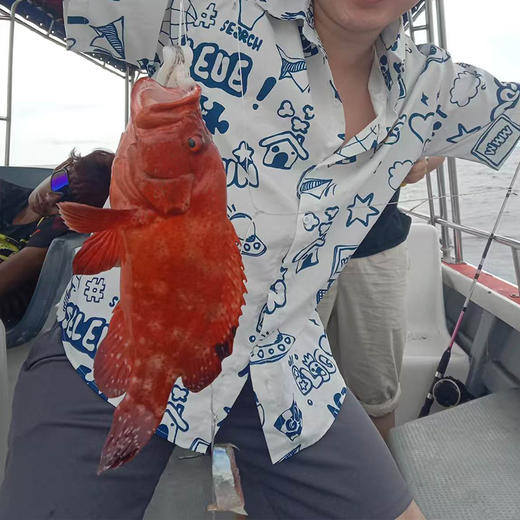 西柚 马来西亚沙巴仙本那海钓一日游 商品图4