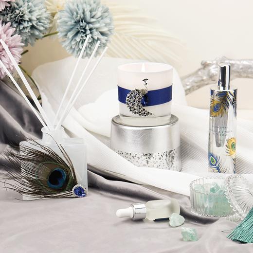 TYAroma Light孔雀翎香氛礼盒套装【鲜知10.0】 商品图1