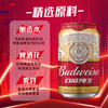 百威啤酒经典纯生330ml*24听整箱装新旧包装随机年货节送礼 703213 商品缩略图0