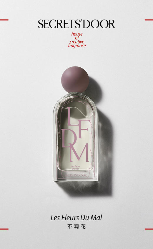 不凋花 商品图0