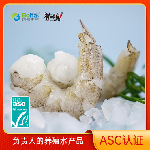 【脊岭岛有机生虾仁】无抗无添加 低脂 低钠 高蛋白 200g/2盒 商品图5