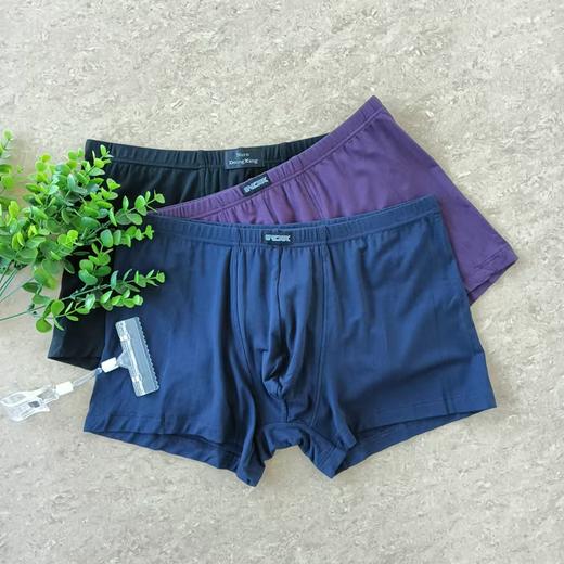 NDKPJ200241  【M~XL】 【1条】超细莫代尔纯色柔软亲肤男士平角内裤 商品图0