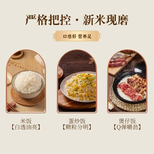 和平乐源 阿公树坝 生态丝苗米 3kg 商品图3