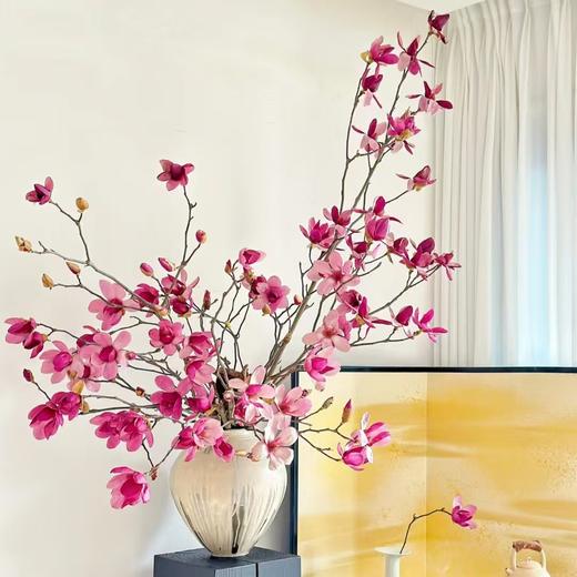 10枝 玉兰花切枝 单色随机 | 新客福利 商品图0