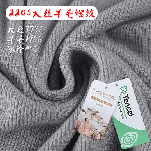 雀说新款半高领半袖打底衫女基础百搭纯色高级感羊毛t恤上衣AL6419 商品图1