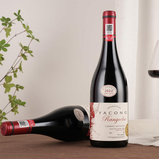 限量珍藏！50年限定！【雅科诺干红双支水钻礼盒皮盒】一口穿越半个世纪的经典醇香！正宗原瓶进口，放心品鉴 商品图4