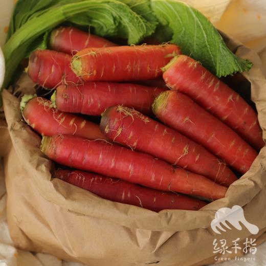 生态老品种胡萝卜（中通） | 合作生产*Ecological old variety carrot | Coproduction 商品图2
