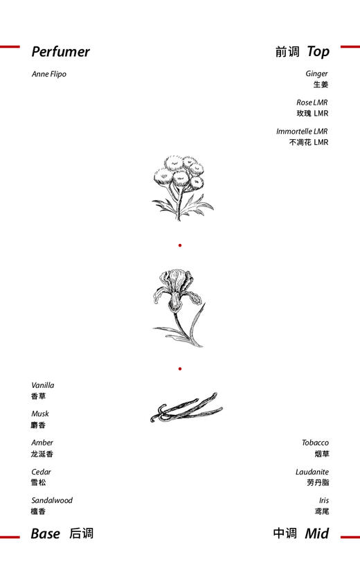 不凋花 商品图2