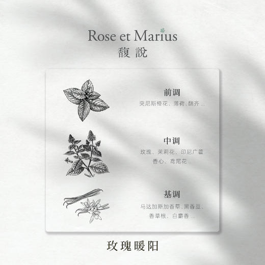 【法国国礼品牌】馥说 玫瑰暖阳 无火香薰礼盒 藤条扩香持久无酒精 花香美食调 200ml 商品图2