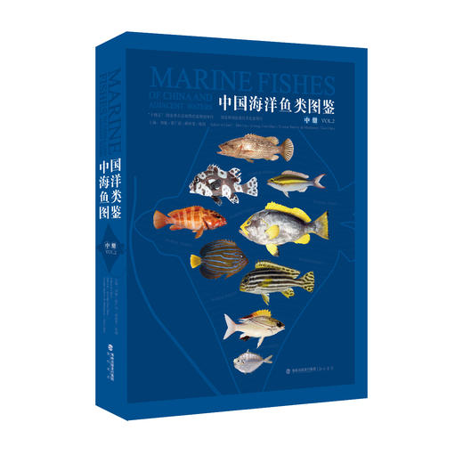 《中国海洋鱼类图鉴》（套装3册）刘敏 邵广昭 薛绮雯 陈骁 海峡书局【官方正版 48小时发货】 商品图2