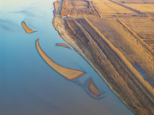 2月25日航拍中国 拍鸟专线—— 山东·东营鸟浪+黄河潮汐树5天(航拍+观鸟） 商品图13