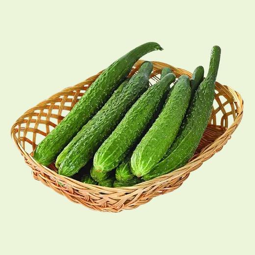 MM 山姆 黄瓜 1kg 商品图4