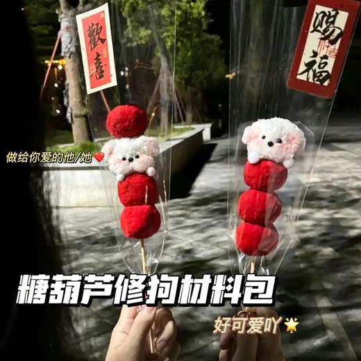 【新年纳福❗️冰糖葫芦扭扭棒】超可爱，少女心爆棚！马年春节小狗手工diy材料包女生玩具毛绒玩偶女孩生日礼物 商品图3