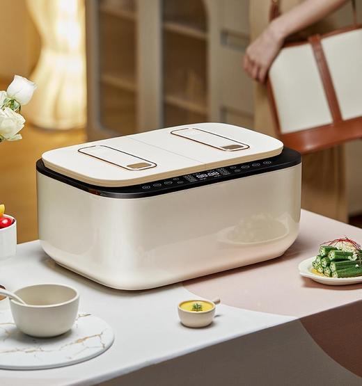 德国Zemkon低糖双胆电饭煲_JWS-SDG01 商品图2