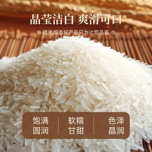 和平乐源 阿公树坝 丝苗米2.5kg 商品图1
