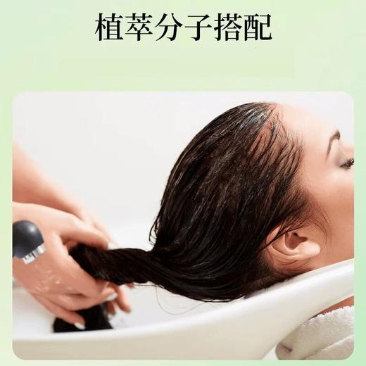 【旗舰正品】侧柏叶粉 植物草本碾粉居家日用必备精选柏叶粉130g/罐 商品图2