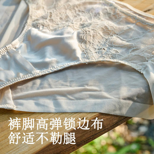 TG-TG01S173真丝中腰女士内裤 桑蚕丝超薄性感蕾丝网纱包臀三角短裤女 商品图3