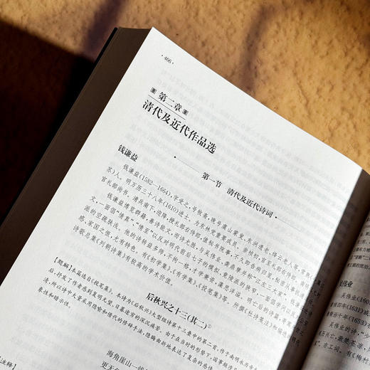 中国古代文学 第四版 徐季子 姜光斗 中国语言文学 近代文学 商品图12