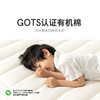 【Kids】蓝盒子小朋友/青少年专用弹簧床垫双面睡感【厚度12/18cm可选】 商品缩略图4