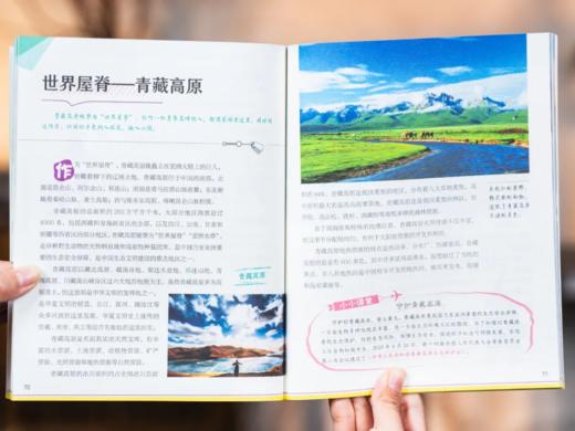 《少年游学小全书》（礼盒装全15册）34座热门城市，逛遍100+博物馆，8000+知识点收入囊中。 商品图7