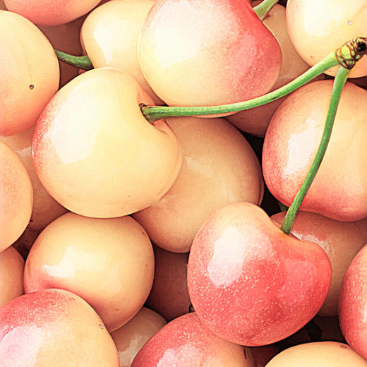 雷尼尔黄金车厘子4斤原箱装 商品图1