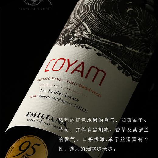 TY肆玖柯雅干红葡萄酒2瓶【鲜知10.0】 商品图2