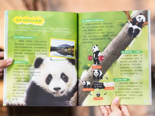 《少年游学小全书》（礼盒装全15册）34座热门城市，逛遍100+博物馆，8000+知识点收入囊中。 商品图11