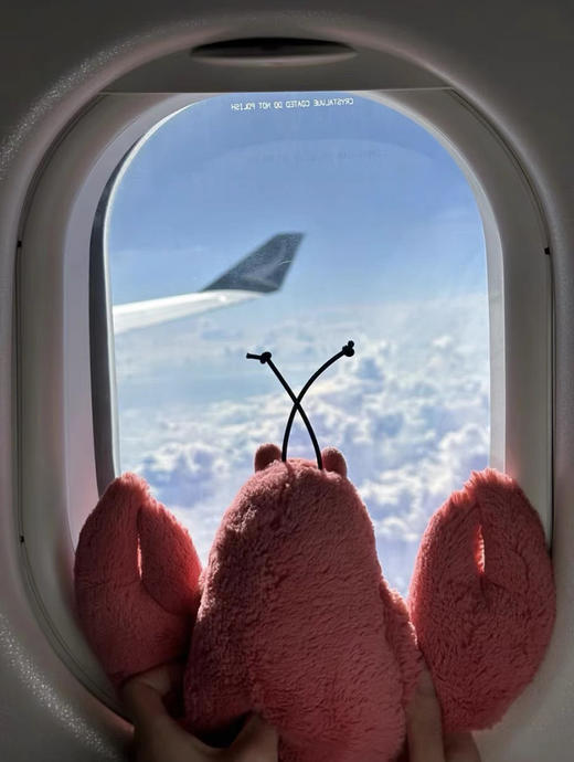 哇！天啦撸~Jell@趣味小龙虾&小乌龟包包挂饰毛绒玩偶公仔 商品图3