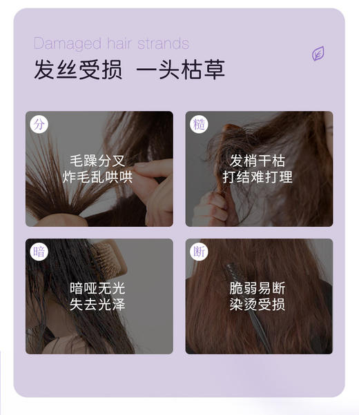 域发蛋白修护水光 236g/瓶 商品图1