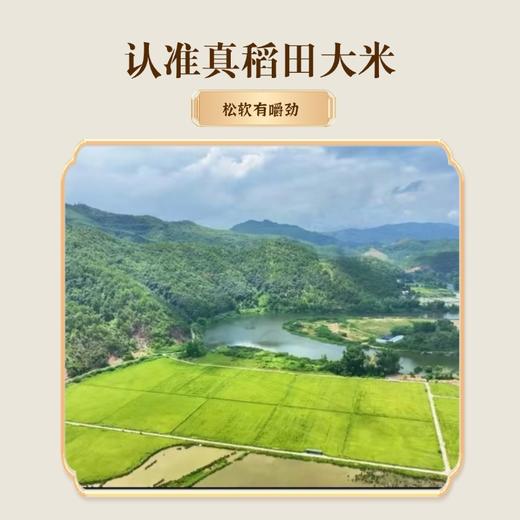 和平乐源 阿公树坝 生态丝苗米 3kg 商品图4