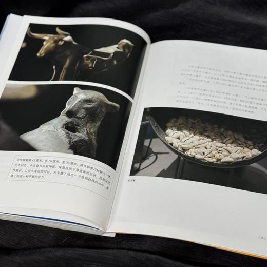 寻古中国 随机附赠书签一款  央视《寻古中国》三联书店旗舰店 商品图2