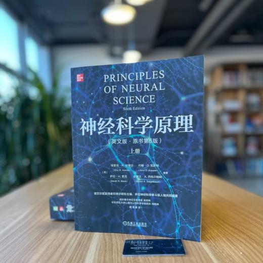 神经科学原理(英文版·原书第6版)(上下册) 商品图3